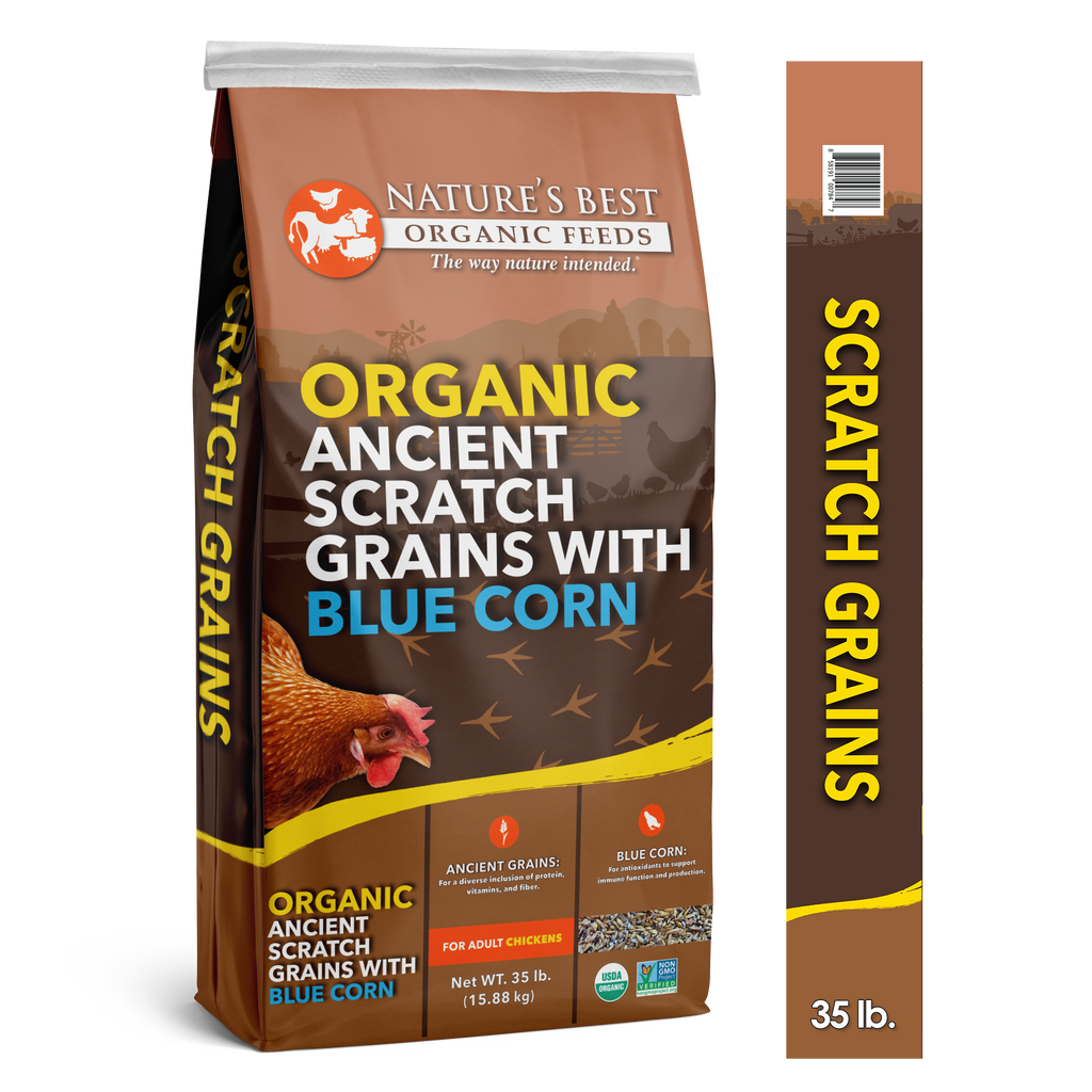 Organic Ancient Scratch Grains and Blue Corn