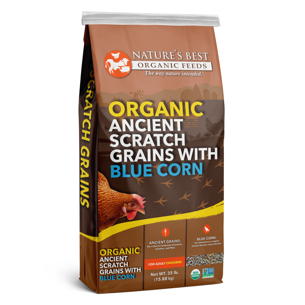 Nature’s Best Organic Ancient Scratch Grains with Blue Corn, 35 lb bag for adult chickens.