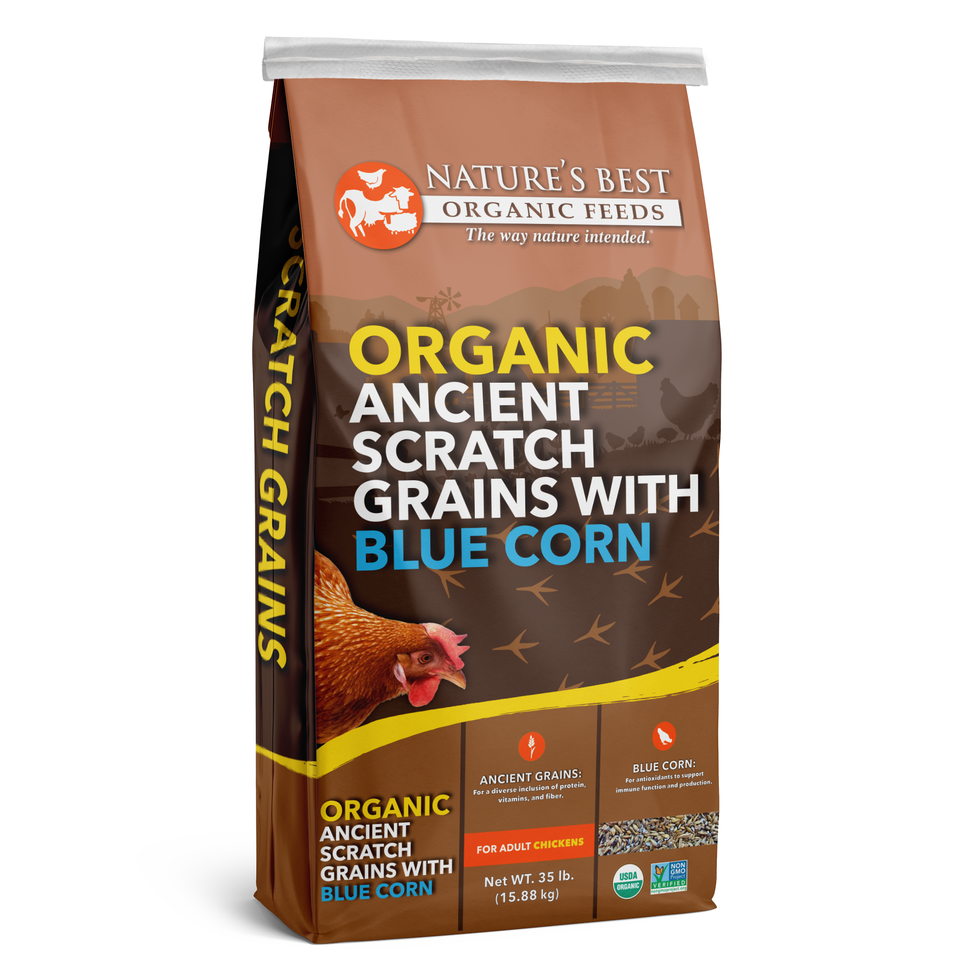 Organic Ancient Scratch Grains and Blue Corn